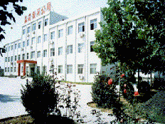 淄博市臨淄銀河高技術開發有限公司