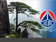 上海巨松電器機電有限公司