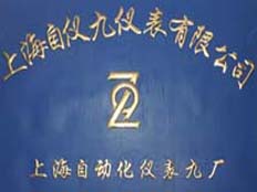 上海自儀九儀表有限公司