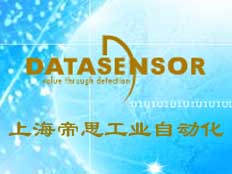 上海帝思工業自動化設備有限公司