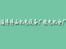 淄博博山機(jī)電設(shè)備廠微電機(jī)分廠