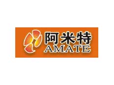 武漢阿米特科技有限公司