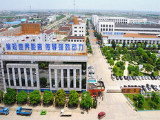 遠東控股集團有限公司