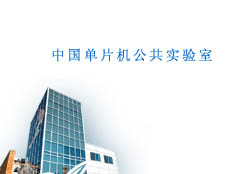 中國單片機公共實驗室