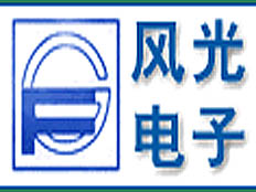 山東風光電子有限責任公司