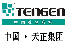 天正集團有限公司