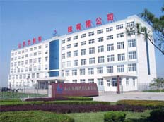 山東力創科技有限公司