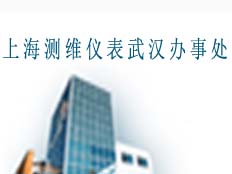 武漢申巍儀器儀表