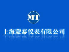 上海蒙泰儀表有限公司