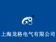 上海龍格電氣有限公司