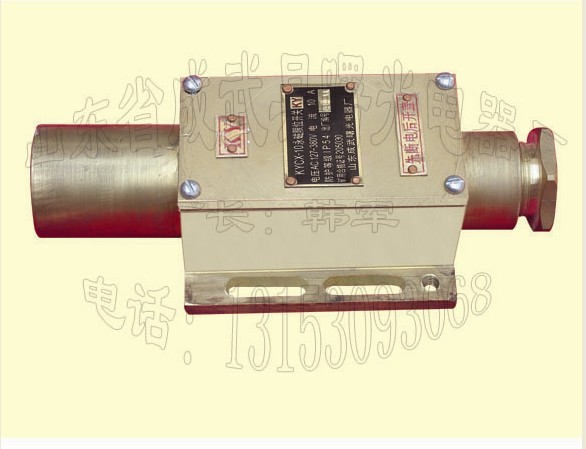 山東省成武縣曙光電器廠
