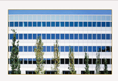 深圳市華妮進(jìn)出口有限公司