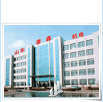 山東德森機電科技股份有限公司