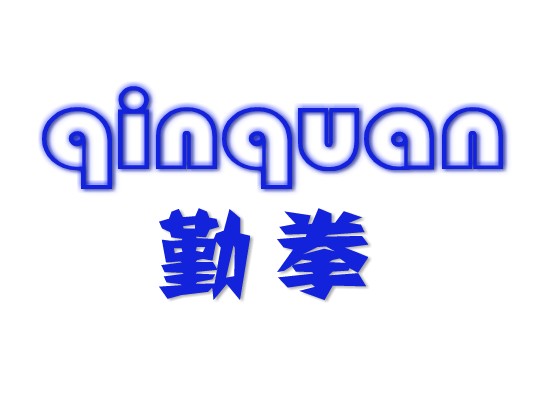 南京勤拳電子科技有限公司