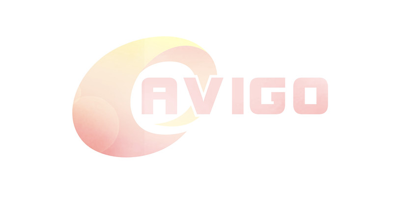 廣州市澳維高工業設備有限公司