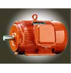 畢捷 YD系列變極多速三相異步電動機