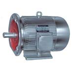 震威 Y系列三相異步電動機