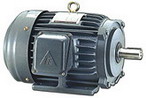 東元 低壓三相感應電動機(代理)