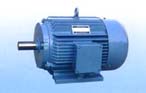 永發機電 YDT系列（IP44）風機、泵用變極多速三相異步電動機