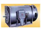 南方 YB560-800系列高壓隔爆型三相異步電動機