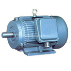 Y-H系列船用三相異步電動機(jī)