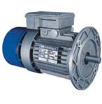 臺州清華 BMD系列制動器