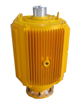 德驅馳 油田用螺桿泵直驅電動機