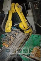 機器人包裝土豆，可靠靈活十年如一日