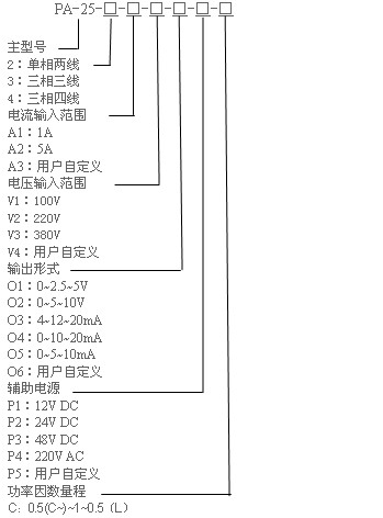 PA-25選型代碼