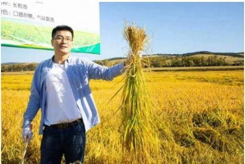 斑馬會員打造農產品銷售鏈條,全力賦能公益助農