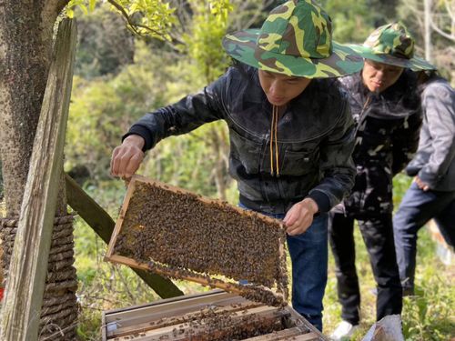 她,2000元創業到6000多萬元銷售,為農村提供就業逾萬,榮膺國獎 趙海伶