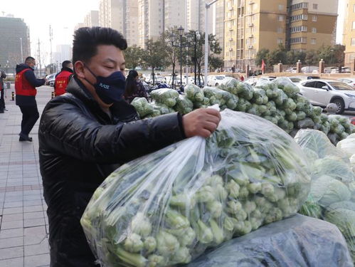 8噸愛心蔬菜運抵防疫一線 河南菜農通助力疫情防控