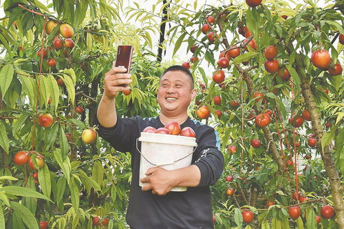 安徽經濟新聞網 產業興 百姓富