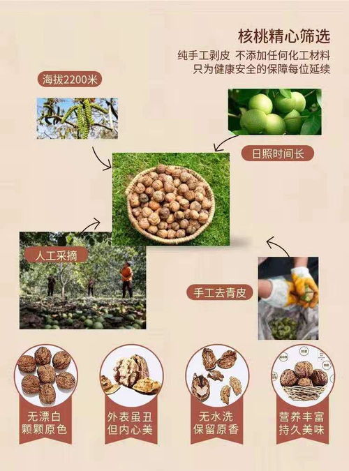 網紅爆款 琥珀核桃 ,限時秒殺19.9