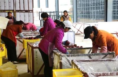 天水麥積區:首家青年創業就業聯盟示范基地掛牌