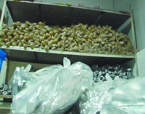 南京一食品廠重新包裝過期鹽水鴨 多達(dá)2000只