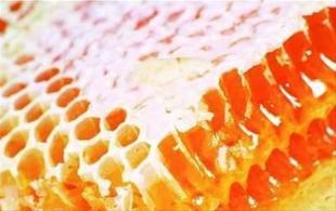 青島進口預包裝食品代理清關公司_商務服務_世界工廠網